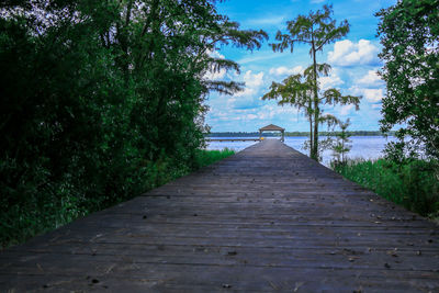 Surface level of footpath amidst trees against sky