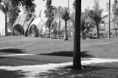 Footpath by trees in park against sky