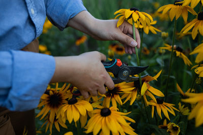 Midsection of woman holding yellow flower