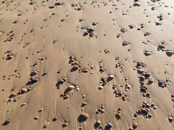 High angle view of footprints on sand at beach