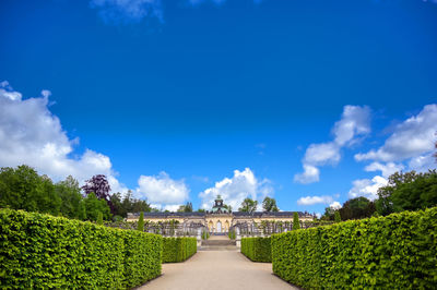 Panoramic view of garden against sky