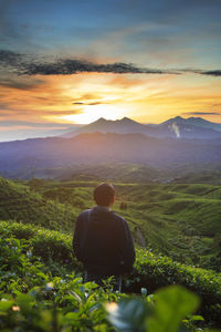 Rear view of man looking at mountains