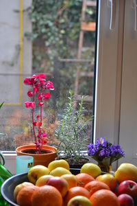 Close-up of flower pot on window sill