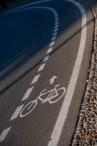 Asphalt road with bike lane stripes