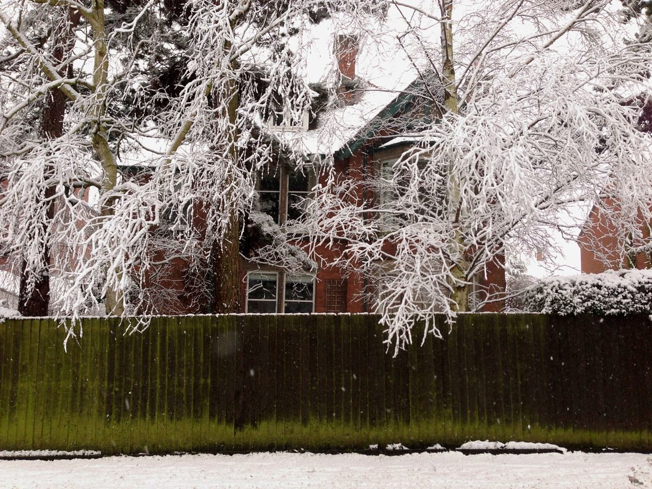 winter, snow, cold temperature, tree, season, weather, covering, frozen, nature, bare tree, built structure, white color, branch, park - man made space, day, outdoors, building exterior, covered, tranquility, architecture