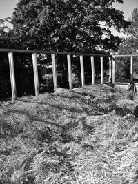 View of built structure on field