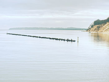 Timber groynes on the beach at the north sea. moody blue sea