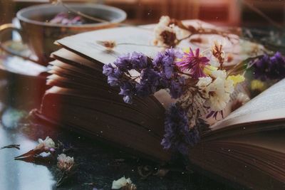 High angle view of purple flowering plants on table