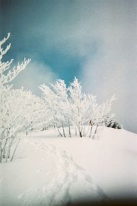 snow