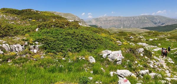 Scenic view of landscape against sky