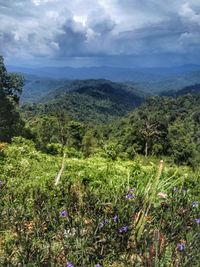 Scenic view of landscape against sky