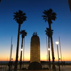 Silhouette of palm trees at sunset