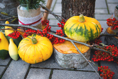 High angle view of pumpkins and flowers on street