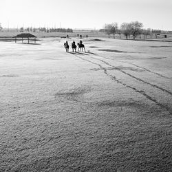 People on snow covered landscape