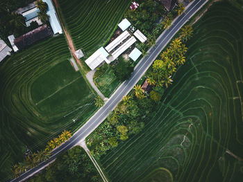 High angle view of street amidst trees and buildings