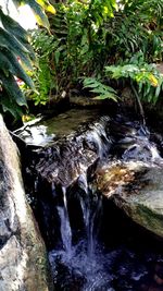 Stream flowing through rocks in forest