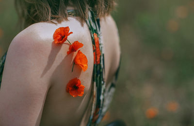 Close-up of orange poppy flower