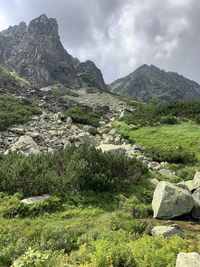 Scenic view of green landscape and mountains against sky