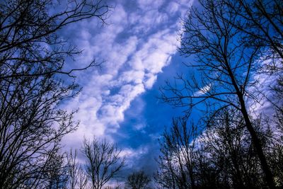 Low angle view of bare trees against cloudy sky