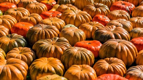 Full frame shot of pumpkins at market