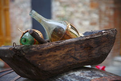 Close-up of lizard on wood