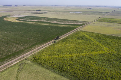 High angle view of agricultural field