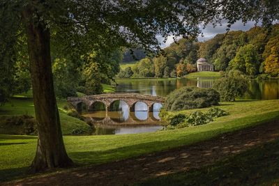 Arch bridge over trees by plants