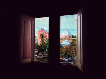 Plants seen through glass window of building