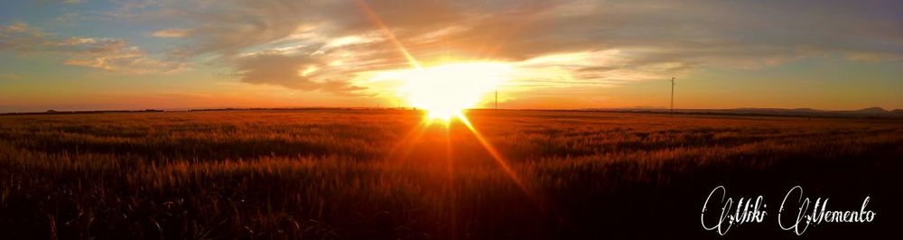 Scenic view of landscape at sunset