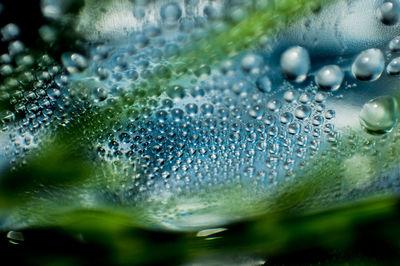 Macro shot of bubbles