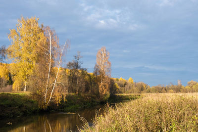 Scenic view of trees by lake against sky