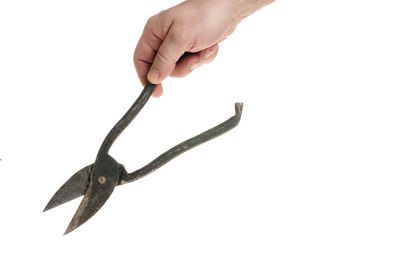 Close-up of hand holding leaf against white background