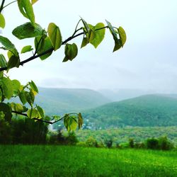 Countryside landscape against clear sky