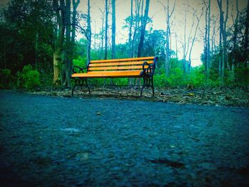 Empty bench in park