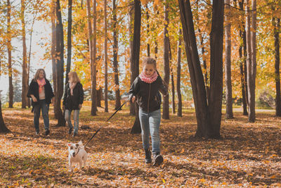 View of dog in forest during autumn