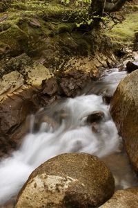 Scenic view of waterfall