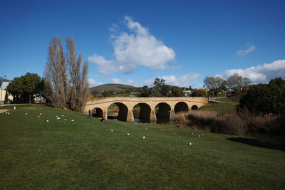 Arch bridge on field against sky