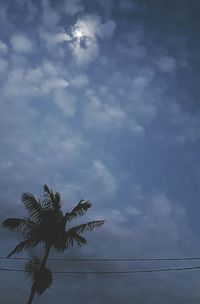 Low angle view of palm trees against blue sky