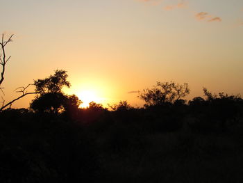 Silhouette trees against sky during sunset