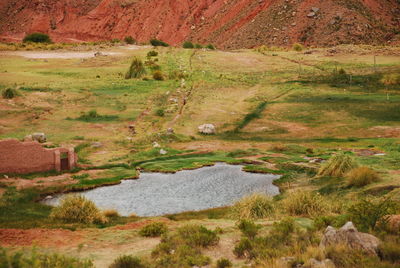 High angle view of trees on landscape