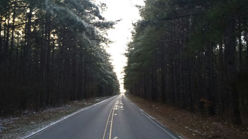 Empty road along trees