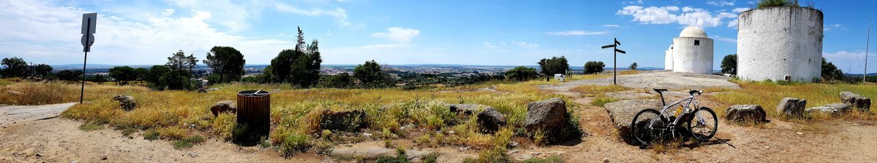 Panoramic shot of plants on field against sky