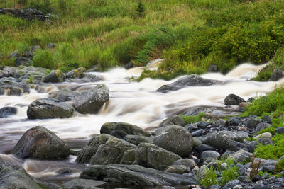 Stream flowing through rocks in forest