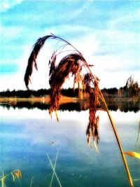 Scenic view of calm lake against sky