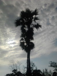 Low angle view of palm trees against cloudy sky