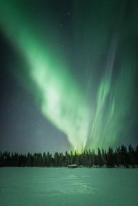 Scenic view of tree against sky at night