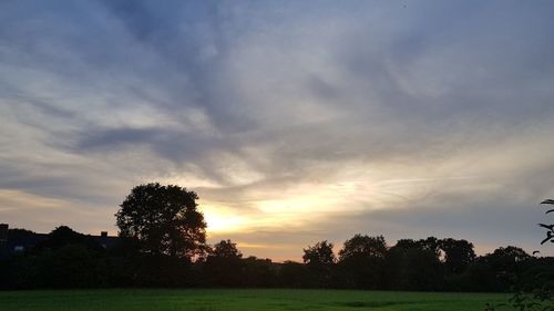 Silhouette trees on field against sky at sunset