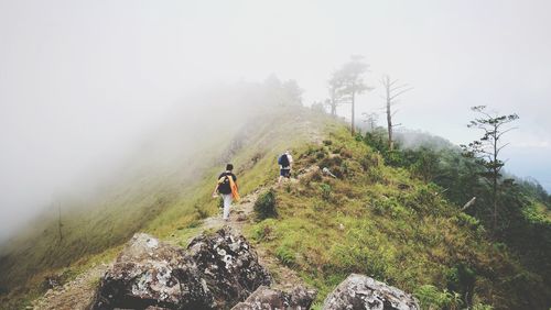 Rear view of people walking on mountain against sky during foggy weather