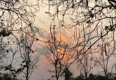Low angle view of silhouette bare trees against sky at sunset