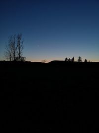 Silhouette trees on field against clear sky during sunset